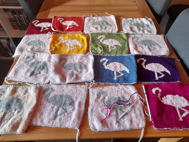 Double Rainbow Flamingos!