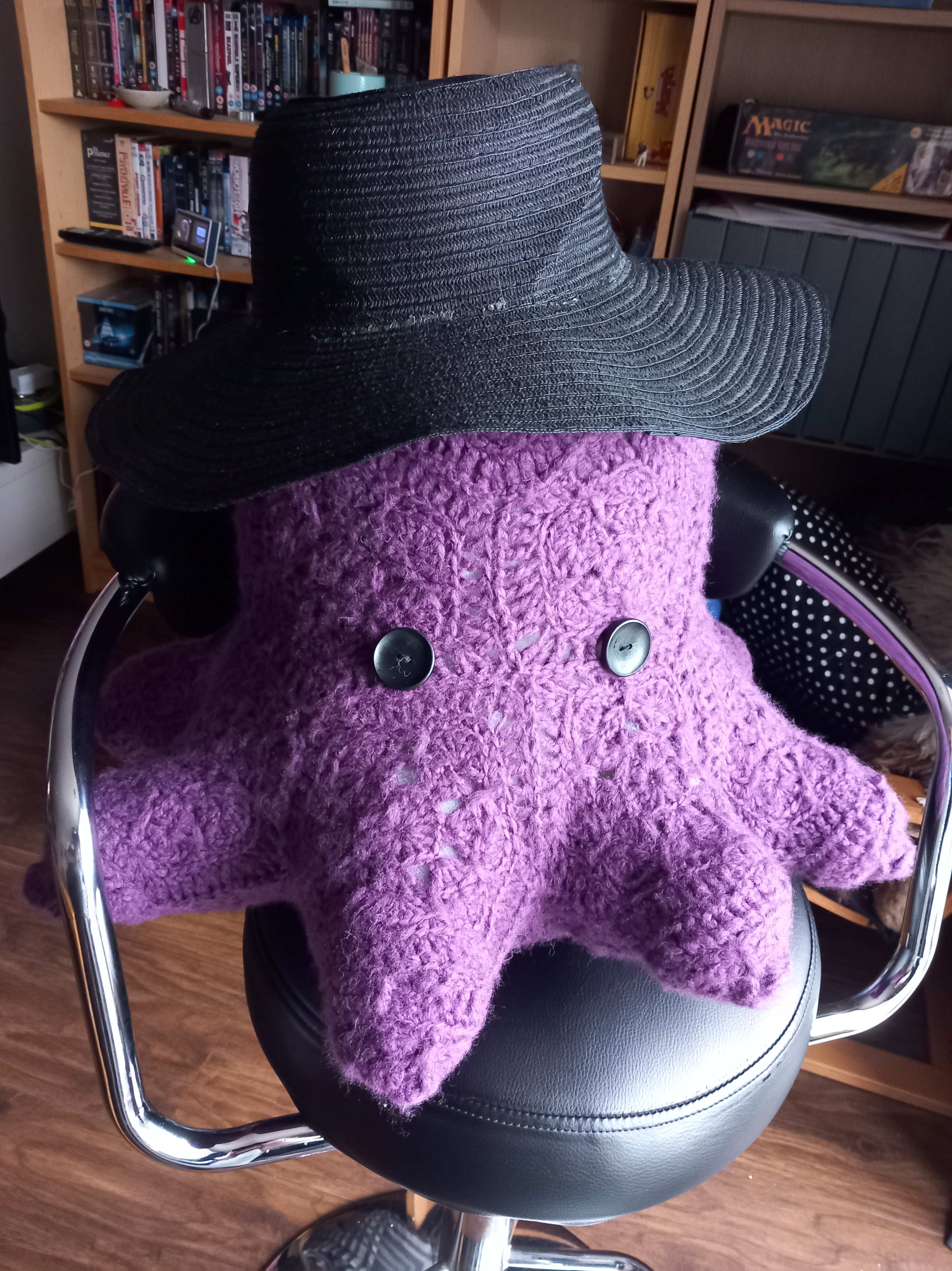 Sunday Snapshot: Darren the Octopus