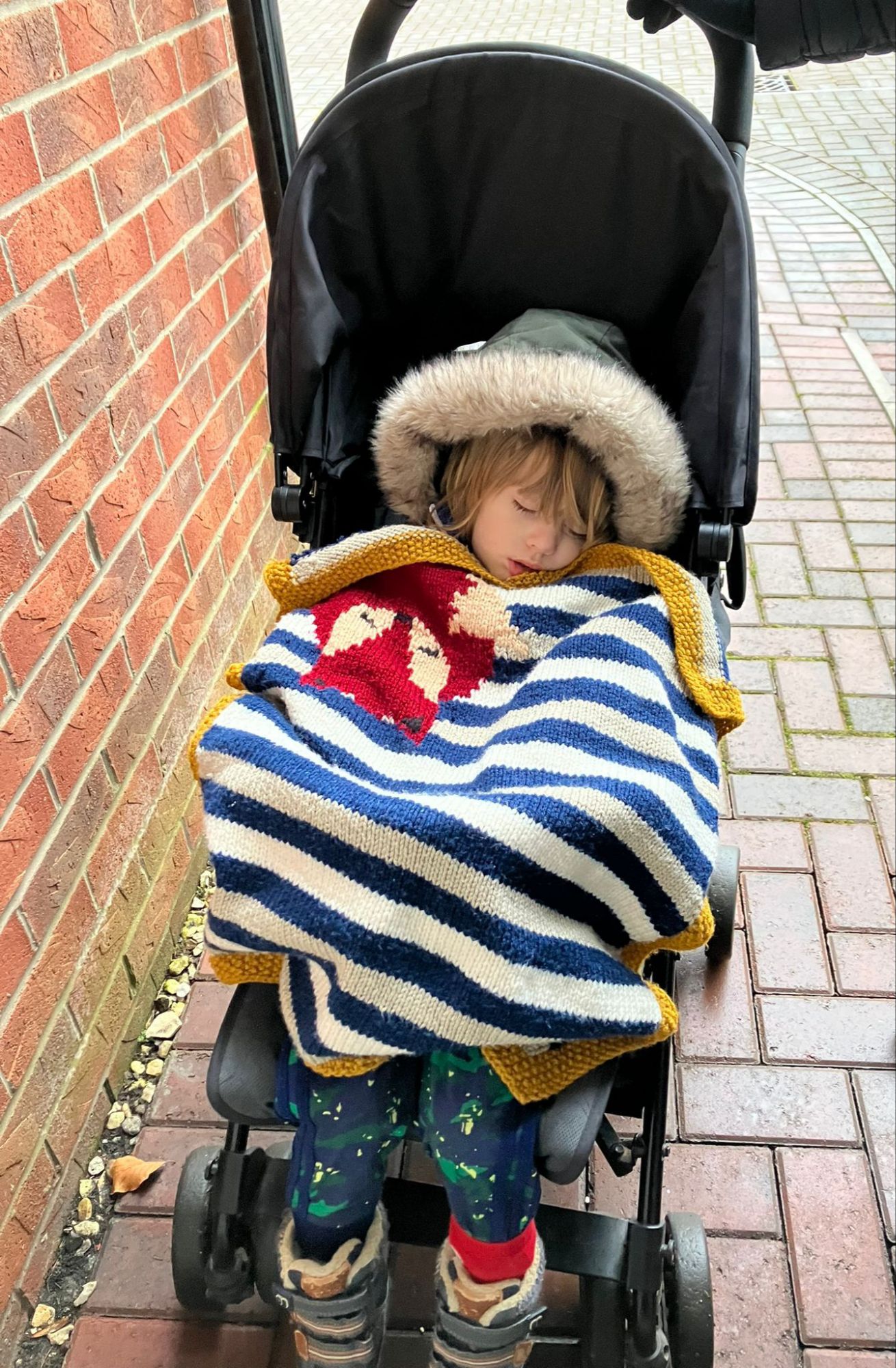 Sunday Snapshot: Fox Blanket in Action