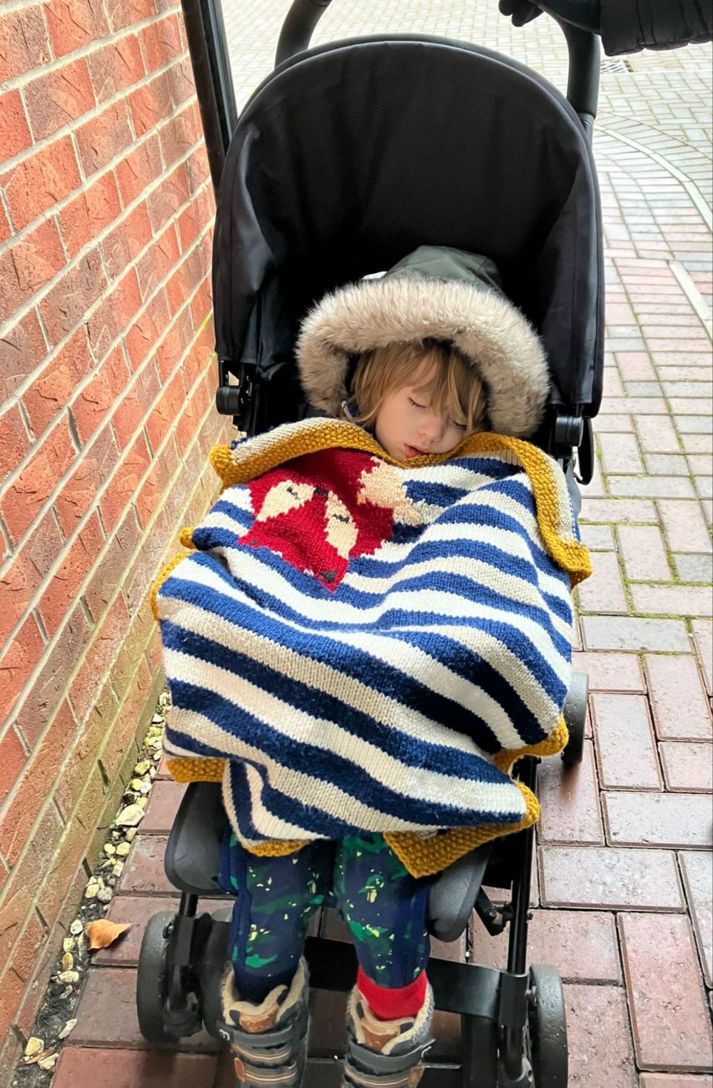 Sunday Snapshot: Fox Blanket in&nbsp;Action