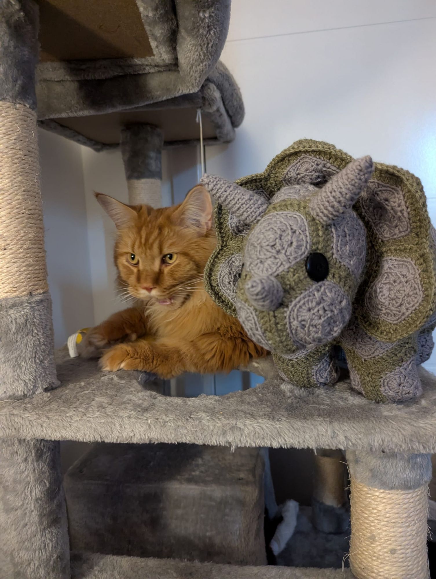 Saturday Snapshot: Dino Finds a Home