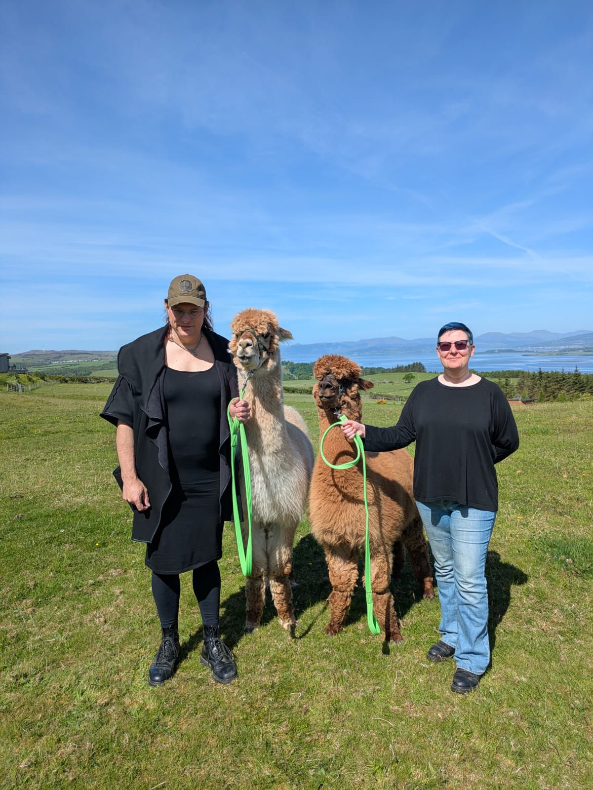 Saturday Snapshot: Alpacas!
