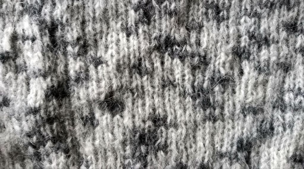 Céleste the Snow&nbsp;Leopard