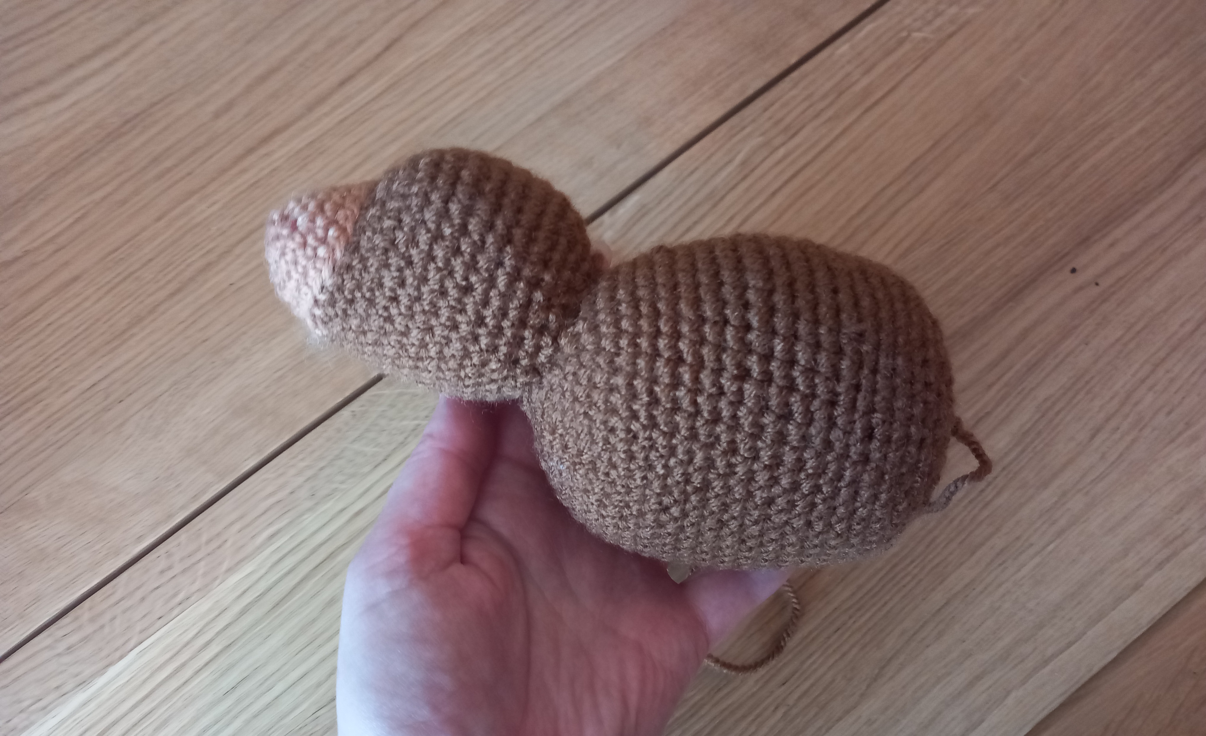 Saturday Snapshot: Cow-to-Be